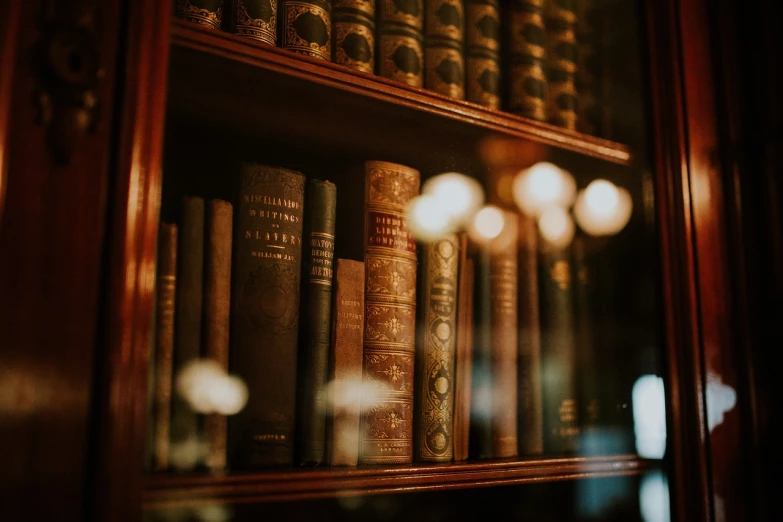 a bookshelf filled with lots of old books, a picture, unsplash contest winner, dramatic soft lighting, bokeh intricate details, illuminated manuscript, national archives