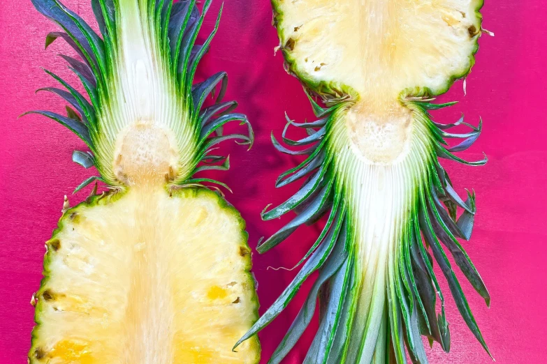 two pieces of pineapple sitting next to each other, a stock photo, by Jan Rustem, fine art, vivid colors anatomical, jelly - like texture, ramps, vibrant colourful background