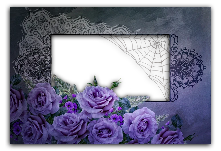 a picture of a bunch of purple roses, a picture, gothic art, lace web, blackboard, 4k high res, flower frame
