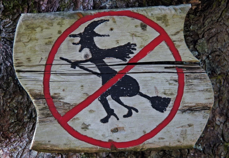 a close up of a sign on a tree, by Zoran Mušič, pixabay, folk art, black witch hat and broomstick, goat, dangerous swamp, not train tracks