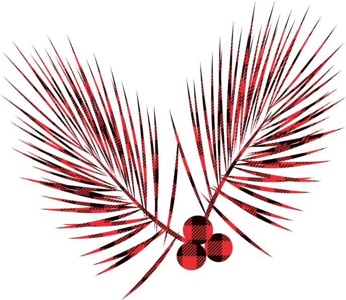 a red firework on a black background, a digital rendering, inspired by Itō Jakuchū, kinetic pointillism, chest covered with palm leaves, mecha wings, akira style illustration, cross hatched