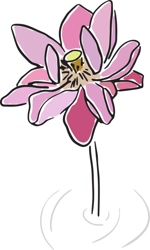a pink flower floating on top of a body of water, inspired by Aya Goda, deviantart, art nouveau, black backround. inkscape, beardsley, loosely cropped, clematis design