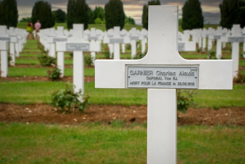 a white cross sitting on top of a grass covered field, graves, georges desvallières, profile picture, marine