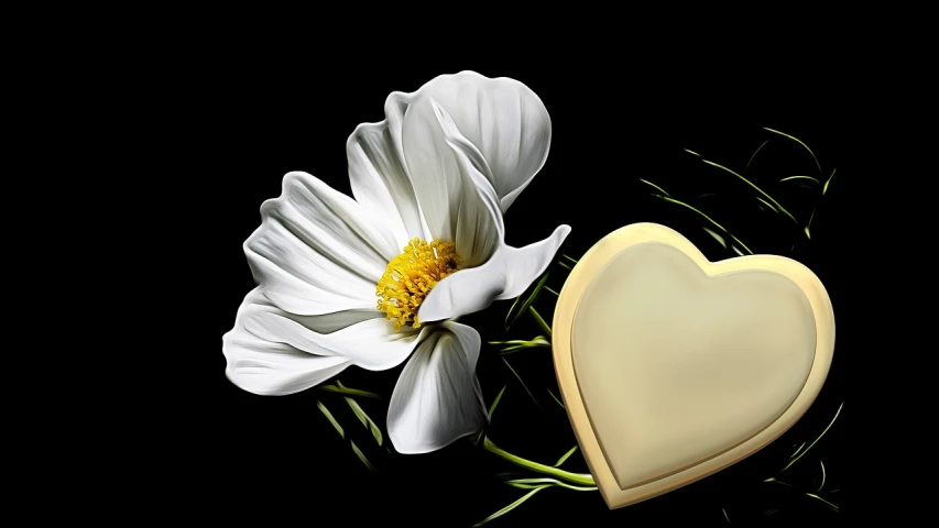 a heart shaped cookie next to a white flower, a digital painting, inspired by Robert Mapplethorpe, romanticism, gold, daisy, flash photo, white on black