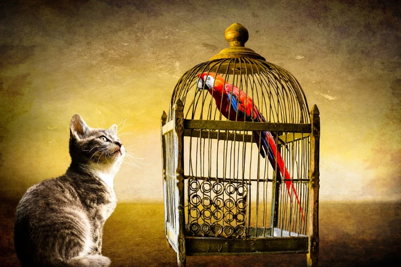 a cat sitting next to a bird in a cage, a photo, trending on pixabay, renaissance, high quality fantasy stock photo, vibrant vivid colors, in style of mike savad”, reaching out to each other