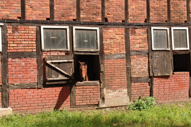 a horse sticking its head out of a window, by Karl Hagedorn, red bricks, farm, slightly sunny, hannover