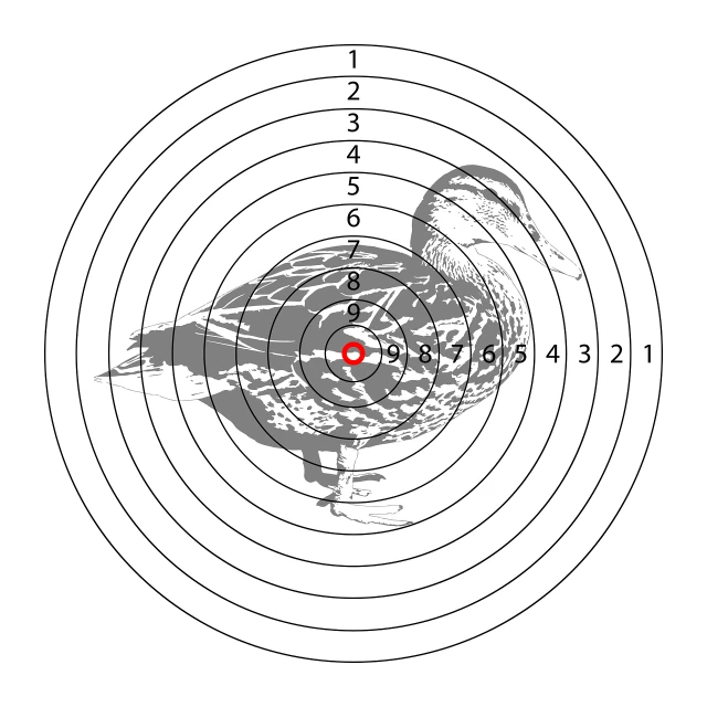 a bird that is standing in front of a target, an illustration of, shutterstock, mallard (anas platyrhynchos), depth map, rorsach path traced, alamy stock photo