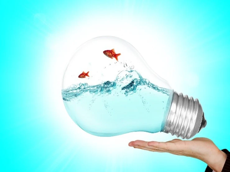 a person holding a light bulb with a fish inside of it, a digital rendering, by Judith Gutierrez, shutterstock, paddle of water, tank, light blue water, new design