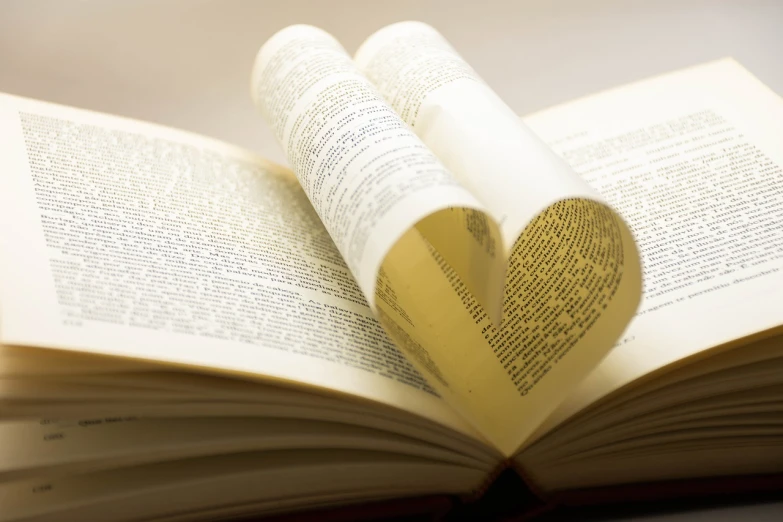 an open book with a heart cut out of it, a picture, romanticism, istockphoto, ivory, scholar, cute:2