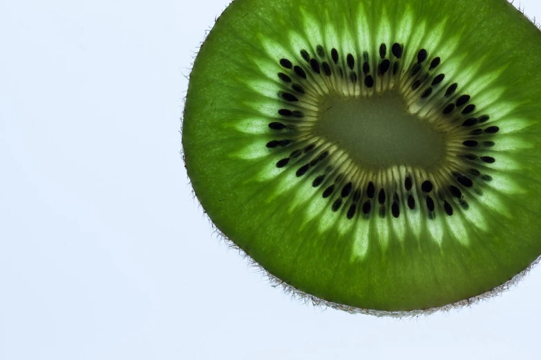 a close up of a kiwi fruit cut in half, by Shigeru Aoki, view from below, a delicate, 1/320, grain”