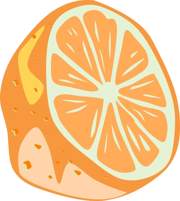 a slice of orange on a black background, a digital painting, inspired by Masamitsu Ōta, pop art, lineless, cuisine, colored woodcut, 🐿🍸🍋