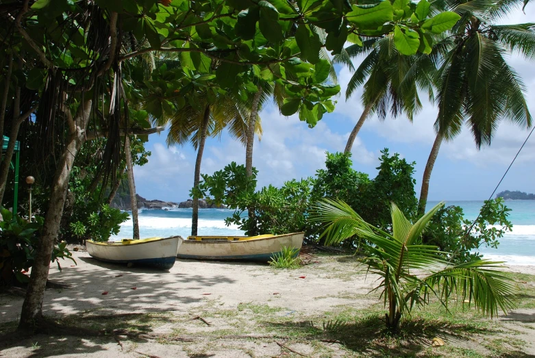 a boat sitting on top of a sandy beach, flickr, banana trees, ! low contrast!, two medium sized islands, al fresco