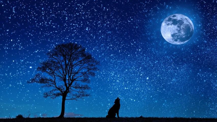 a person standing in front of a tree under a full moon, by Caspar Wolf, trending on pixabay, magical realism, background is made of stars, blue wolf, with the sky full of stars, wallpaper for monitor