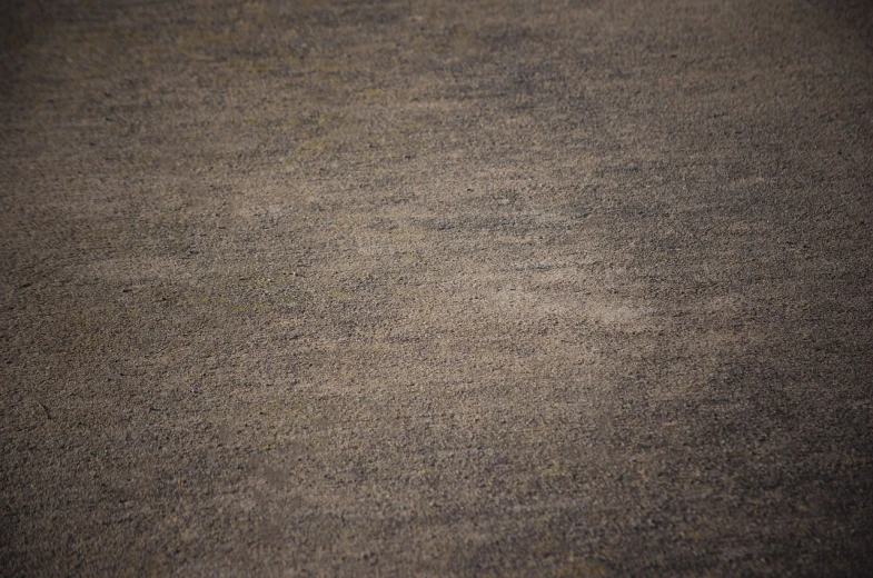 a bird that is standing in the dirt, a tilt shift photo, inspired by Andreas Gursky, dirt road background, very asphalt, 4k detail, high texture detail)