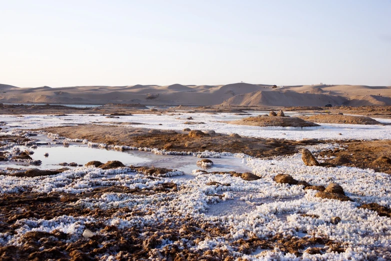 a group of birds standing on top of a snow covered field, les nabis, in a desert oasis lake, sea foam, shan shui, desert!!!