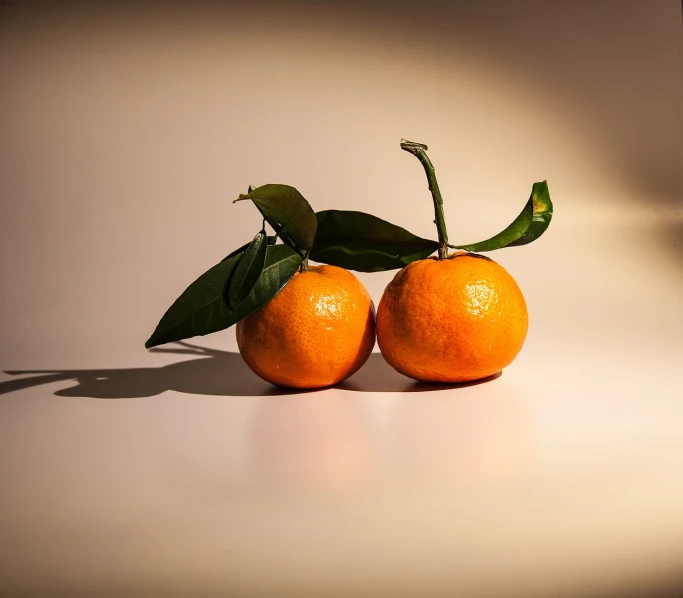 two oranges sitting next to each other on a table, a still life, by Dietmar Damerau, pexels, photorealism, back lit, miniature product photo, stock photo