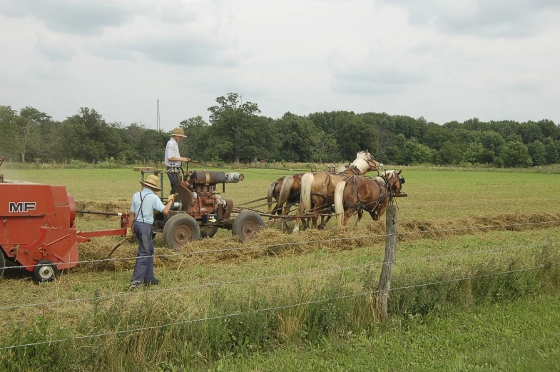a man is plowing a field with two horses, by Susan Heidi, flickr, historically accurate, il, mowing of the hay, grain”