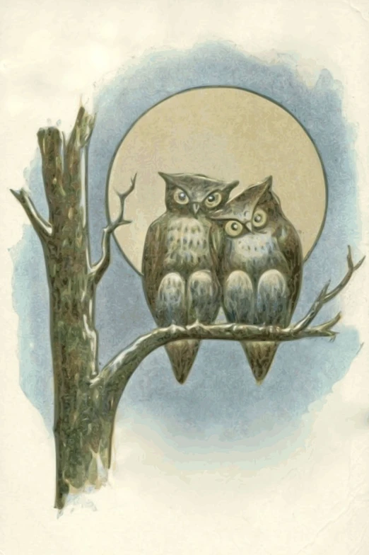 two owls sitting on a branch in front of a full moon, a portrait, by Edward Baird, tumblr, graphic 4 5, hand - tinted, card, neutral milk hotel
