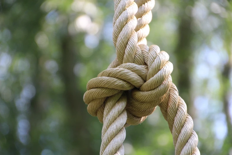 a close up of a rope with a knot, a park, upwards, canopee, toggling