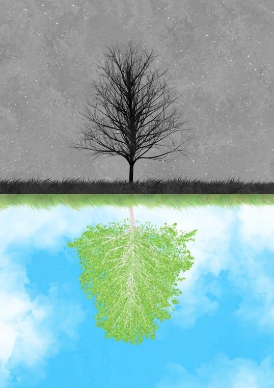 a tree is reflected in a puddle of water, a minimalist painting, inspired by Rene Magritte, environmental art, mixed media style illustration, there are two sides to the story, plume made of fractals, symmetry illustration