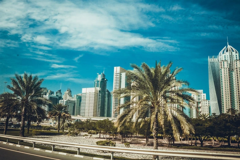 a view of a city with tall buildings and palm trees, hurufiyya, retro effect, modern high sharpness photo