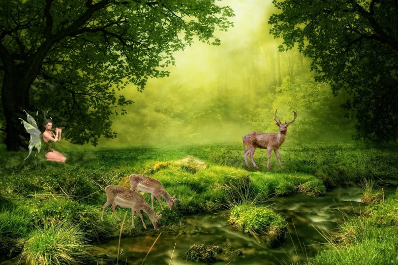 a couple of deer standing on top of a lush green field, by Cindy Wright, digital art, gentle sparkling forest stream, high quality fantasy stock photo, three animals, sitting in the forrest