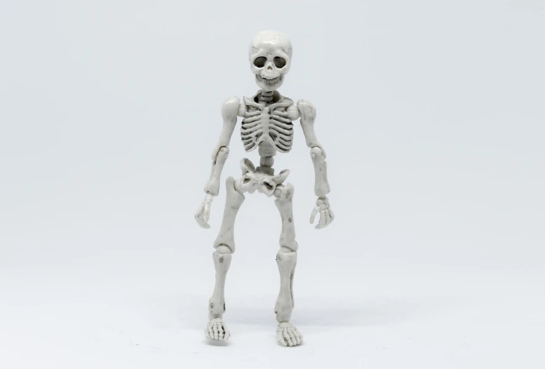 a close up of a toy skeleton on a white surface, by Muirhead Bone, miniature product photo, pvc figurine, 35 mm product photo”, productphoto
