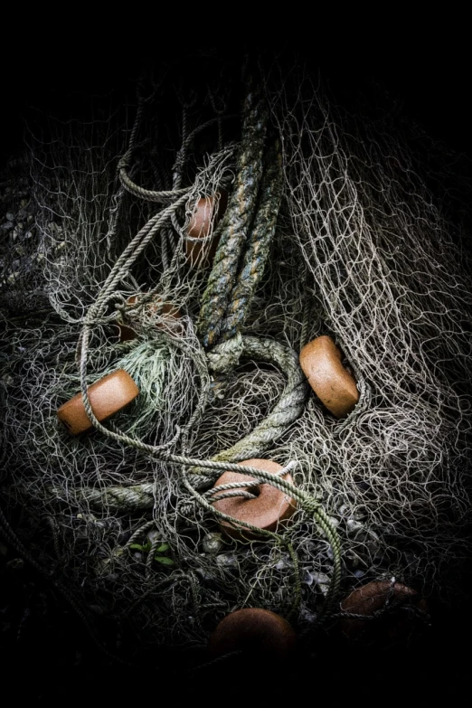 a pile of fishing nets sitting on the ground, a still life, matt howarth, heavy vignette!, lowres, vine twist