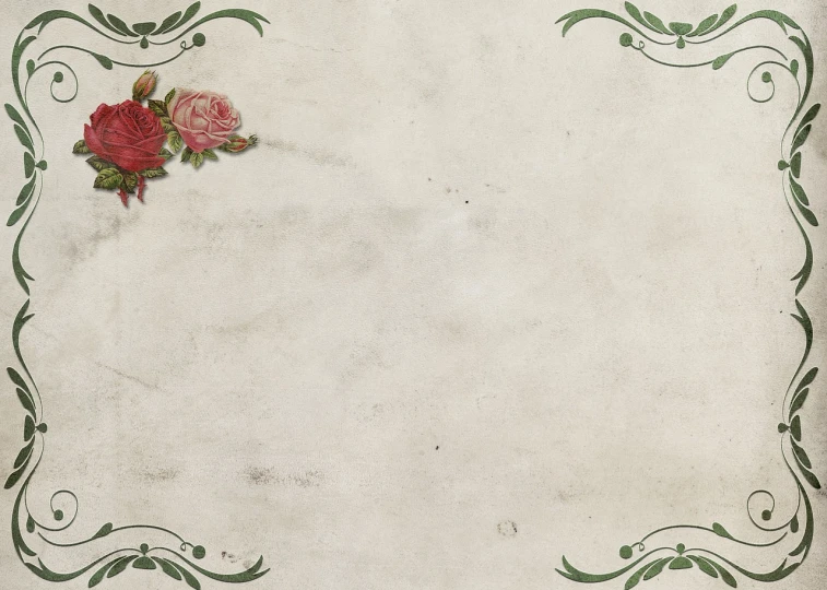 a close up of a paper with flowers on it, romanticism, ornate, high res, bar background, roses