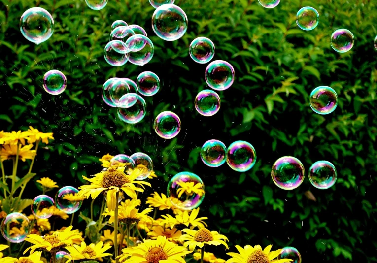 a bunch of bubbles that are floating in the air, a picture, by Tom Carapic, with yellow flowers around it, garden background, stock photo, wallpaper”