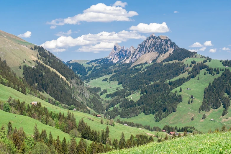 a herd of cattle standing on top of a lush green hillside, a picture, by Karl Gerstner, shutterstock, renaissance, peaks, distant valley, zenithal view, artgern