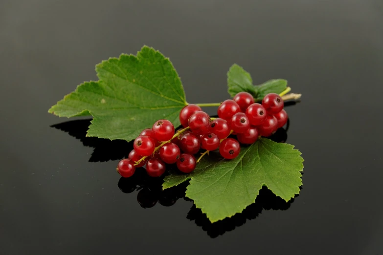 a bunch of red berries sitting on top of a black surface, by Anato Finnstark, hurufiyya, miniature product photo, -h 1024, leaf, gourmet