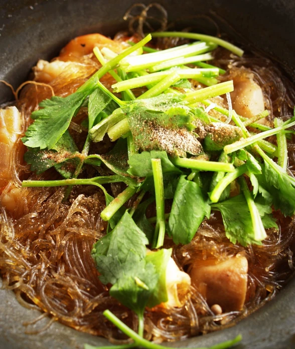 a close up of a bowl of food on a table, shin hanga, netting, herb, stew, translucent gills