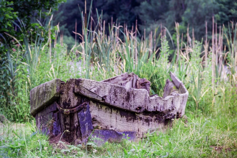 a wooden boat sitting on top of a lush green field, by Richard Carline, decay texture, anna nikonova, reeds, detailed zoom photo