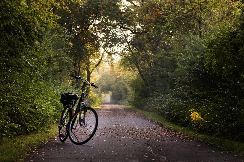 a bicycle parked on the side of a road, by Andrew Domachowski, flickr, in an evening autumn forest, green alley, illinois, shot on sony alpha dslr-a300