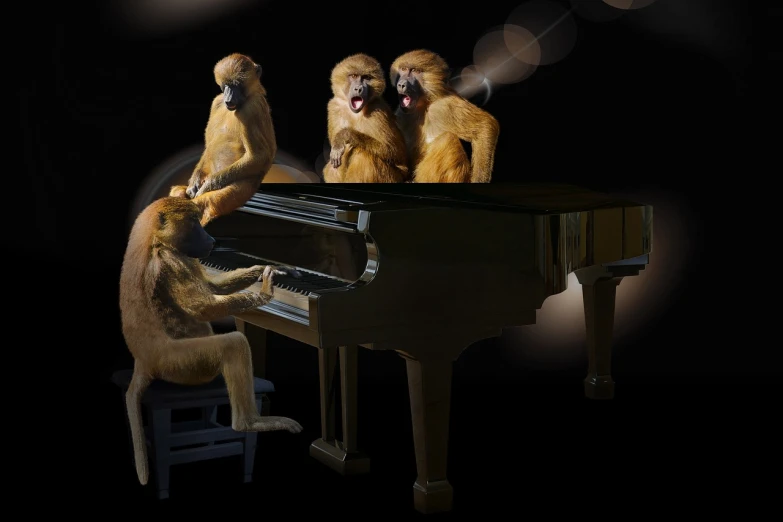 a group of monkeys sitting on top of a piano, inspired by Igor Morski, pixabay contest winner, fantastic realism, four faces in one creature, sing for the laughter, energetic jazz piano portrait, simba