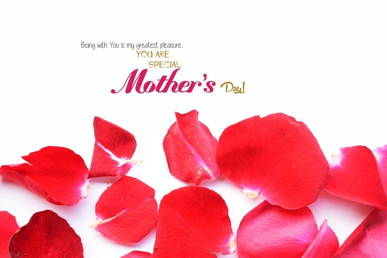 a mother's day card with rose petals on a white background, by senior artist, wallpapers, hi-res photo, -h 1024, !!award-winning!!