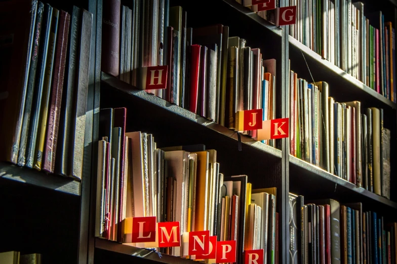 a book shelf filled with lots of books, a photo, by Jesper Knudsen, flickr, letterism, red and cinematic lighting, inhabited initials, research center, music records