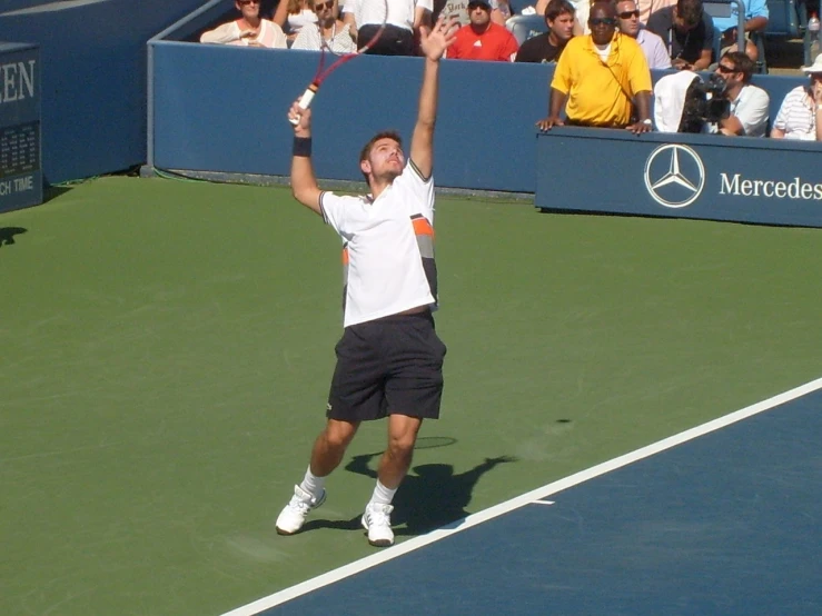 a man holding a tennis racquet on a tennis court, a photo, flickr, midair, crowd hails him, artem, broad shoulder