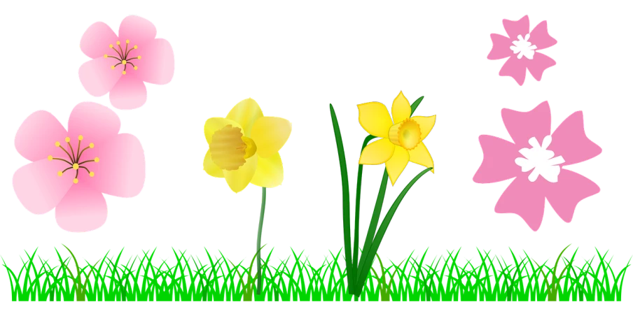 a bunch of flowers that are in the grass, deviantart, naive art, black backround. inkscape, daffodils, miffy, & a dark