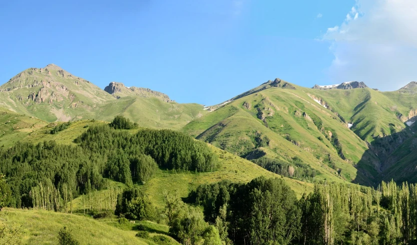 a herd of cattle grazing on a lush green hillside, by Muggur, flickr, les nabis, panoramic widescreen view, ayanamikodon and irakli nadar, elevation, musical