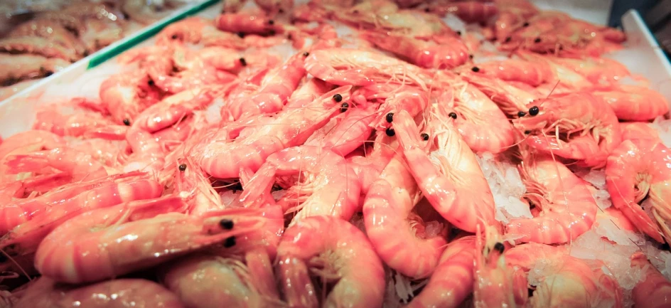 a pile of shrimp sitting on top of a table, a photo, shutterstock, fish market, high quality product image”