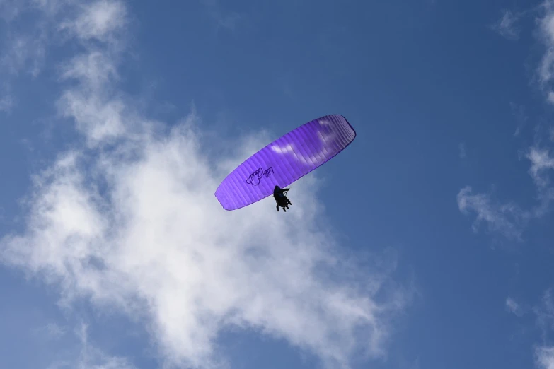 a person flying a purple kite in the sky, a picture, by Alison Watt, aero dynamic, canopy, on clouds, on a sunny day