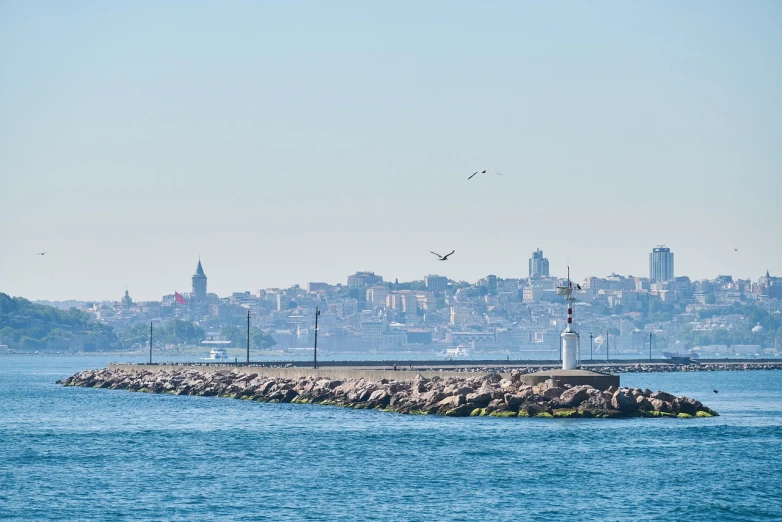 a group of birds flying over a body of water, a picture, shutterstock, hurufiyya, istanbul, beautiful cityscape background, near a jetty, sunny day with clear sky