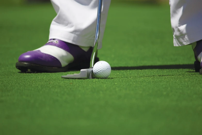 a close up of a person putting a golf ball on a golf course, cobra, purple, istockphoto, an elegant green, off - putting