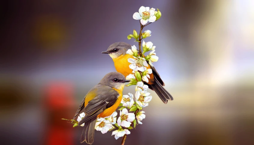 a couple of birds sitting on top of a tree branch, an illustration of, art photography, orange blooming flowers garden, closeup photo, very accurate photo, realistic illustration