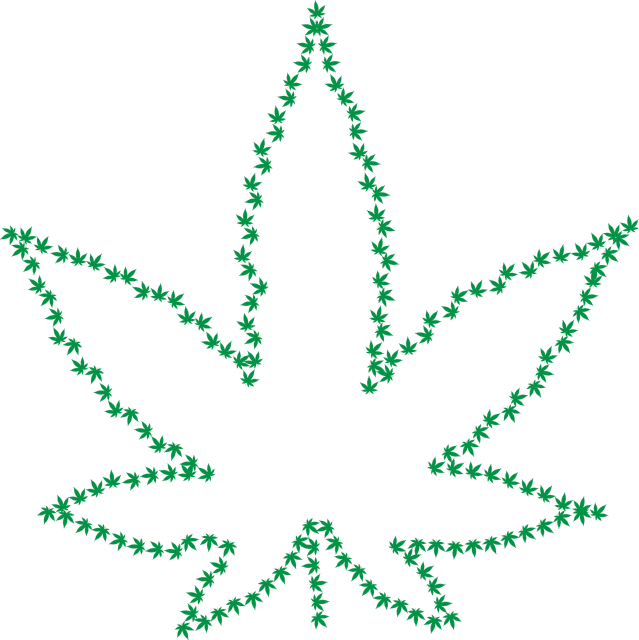 a green marijuana leaf on a black background, inspired by Mary Jane Begin, hurufiyya, thick outline, lots of people, simple tree fractal, high res