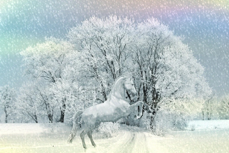 a white horse standing on its hind legs in the snow, inspired by John Frederick Herring, Sr., shutterstock contest winner, romanticism, magical fairy background, 2 0 2 2 photo