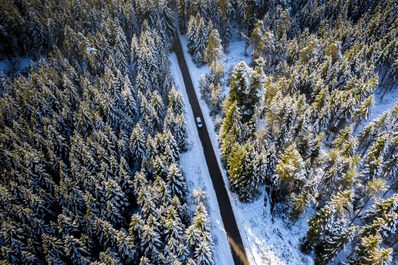 an aerial view of a road in the middle of a forest, a photo, by Dietmar Damerau, shutterstock, snow on the body, sun shines down on the car, tourist photo, shot on nikon z9