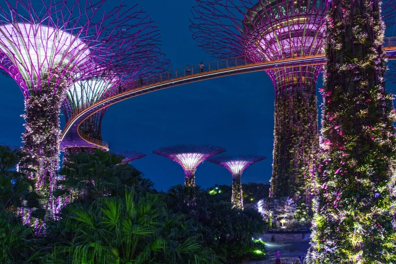 a group of trees that are lit up at night, inspired by Paul Gustav Fischer, pexels contest winner, elegant bridges between towers, colorful striped pavillions, 4 k vertical wallpaper, purple - tinted